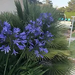 Amare Granville Saint-Pair-sur-Mer